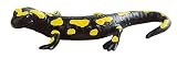 Eigenschaften BULLYLAND 68493 / Bullyland 68493 - Feuersalamander 11cm