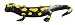 Bullyland 68493 - Feuersalamander 11cm