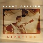 LifeTime by  Terry Callier 