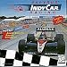 Indycar Racing (PC CD Jewel Case) (DOS)