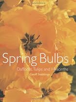 Spring Bulbs: Daffodils, Tulips and Hyacinths