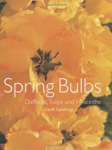 Spring Bulbs: Daffodils, Tulips and Hyacinths