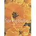 Spring Bulbs: Daffodils, Tulips and Hyacinths