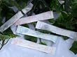 Wedding Words Sugar Sticks