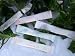 Wedding Words Sugar Sticks