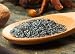 Gourmet Food : Poppy Seeds
