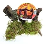 MEDIUM ALL NATURAL JUNGLE GYM 10gal
