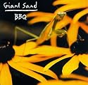 Backyard Barbecue Broadcast