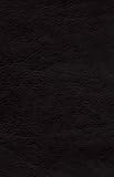Cover for 9781418548667