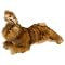 Cat Toys