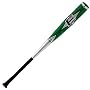 Easton V12 Ozone BV2 Baseball Bat