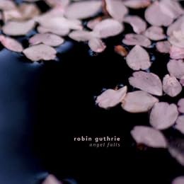 Robin Guthrie Foto 4