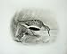 1910 The Dunlin Tringa Alpina Male Chick Bird Plate