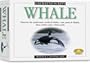 Skullduggery Eyewitness Kit Whale Casting Kit
