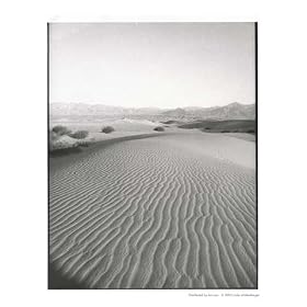 Dunes, Death Valley Scenic Photographic Poster Print by Linda Waltenberger, 8x10