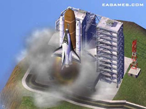 large image