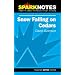 Spark Notes Snow Falling on Cedars