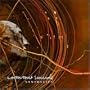 Synthetics