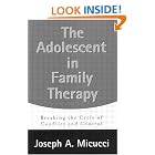 Click here to buy The Adolescent in Family Therapy: Breaking the Cycle of Conflict and Control by Joseph A. Micucci.
