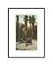 Bear, San Bernardino Mountains, California Animals Pre-Matted Poster Print, 11x14