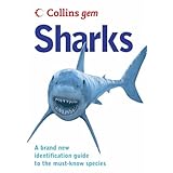 sharks collins gem