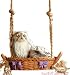 himalayan14 - Garden Swinger Himalayan Cat