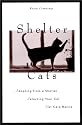 Shelter Cats
