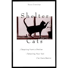Shelter Cats