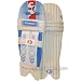 Sporting Goods : Batting Leg Guards : SG Campus