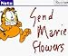 Search : Garfield Zipnotes 25