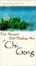 VHS : Accessing the Chi