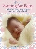 Waiting for Baby: A Day-to-Day Countdown
