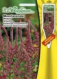 Eigenschaften Chrestensen  / Meerlavendel Rosenrot (Portion inklusive Stecketikett)