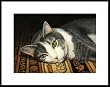 Musing on a Magic Carpet by Drew Strouble