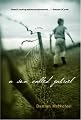 A Son Called Gabriel