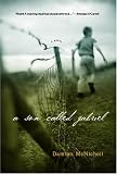 A Son Called Gabriel