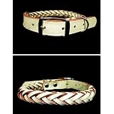 Handcrafted 8-Thong Full Braided Semi-Glossy Harness Leather Dog Collar - Vanilla Cream