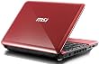 Netbook 10������磻�ɱվ� Wind U Series U135��å� U13N45-IMRD