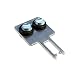 Euchner 74076 Stainless Steel Straight Actuator for NM.VZA Switches