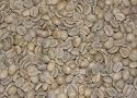 100% Hawaiian Kona Fancy Green Coffee Beans - 1lb