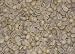 100% Hawaiian Kona Fancy Green Coffee Beans - 1lb