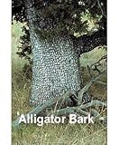 Alligator Juniper 10 Seeds - RARE - Bonsai or Landscape