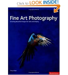 Fine Art Photography: Creating Beautiful Images for Sale and Display