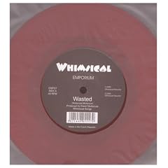 Wasted [7" VINYL]