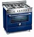 Bertazzoni Professional X365PIRBL 36