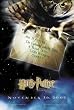 Harry Potter And The Sorcerer's Stone - Framed Movie Postcard (Advance - Hedwig) (Size: 4" x 6")