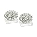 Pomeroy 015465/S2 Great Reef Clear and White Brain Coral