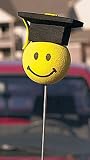 Graduation Smiley Face Car Antenna Topper