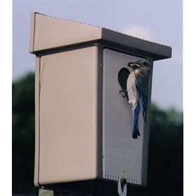 Natureline Plasticraft Manuf. Bluebird House by Natureline Plasticraft Manuf.