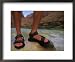 Detail of Sandals and Feet in the Grand Canyon National Park, Arizona Education Frame...
